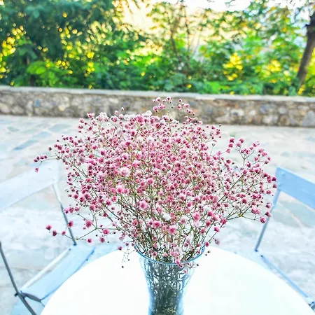 Guest house το στέκι δεδάκης